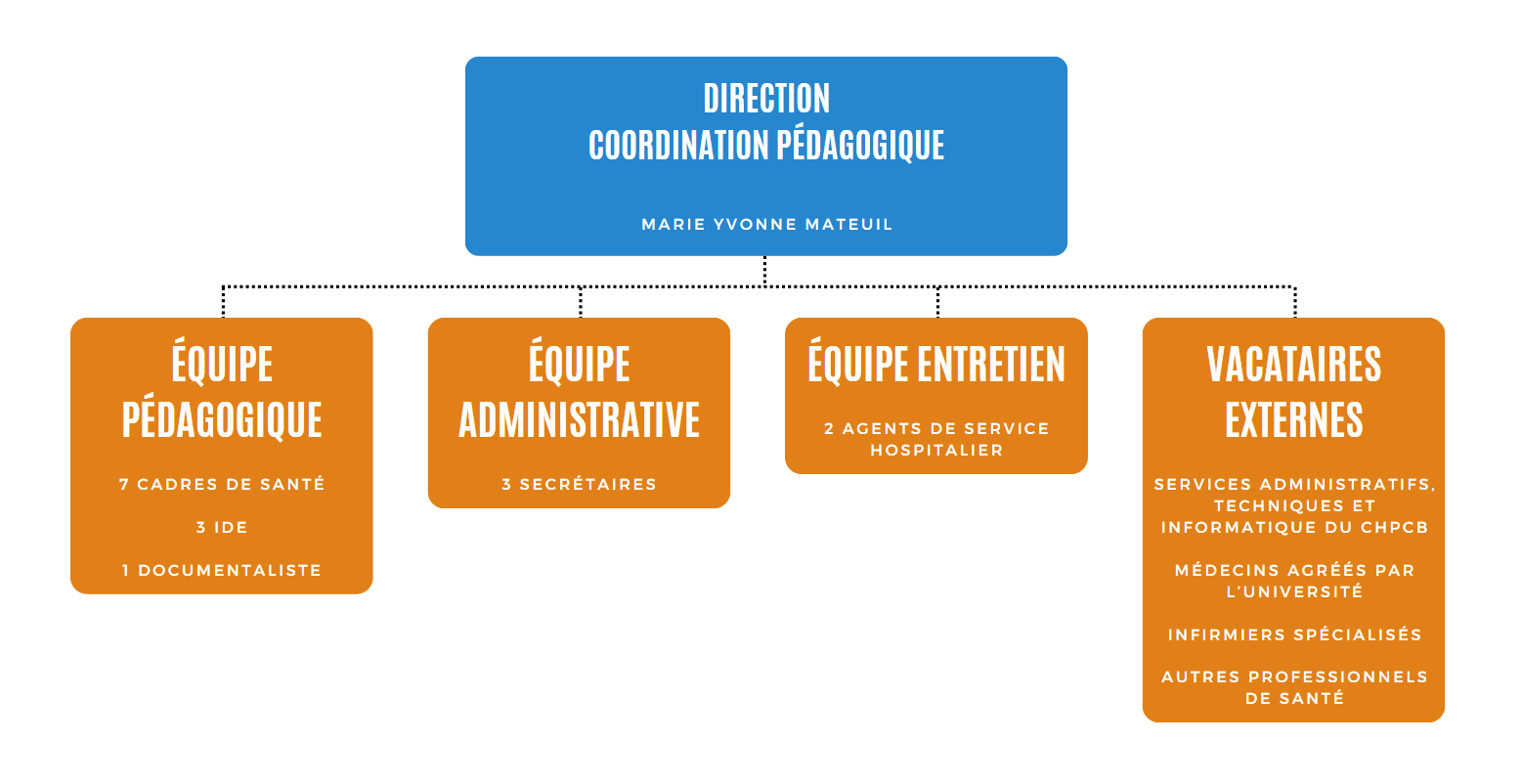 Organigramme 2024